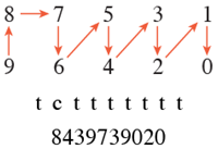 lacing pattern tcttttttt