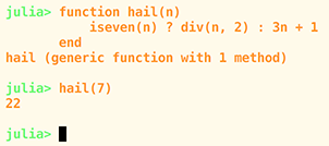 A snippet from the Julia REPL