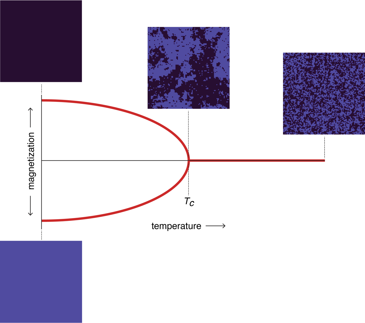 Graph of the gagnetization v temperature phase diagram for the Ising model.