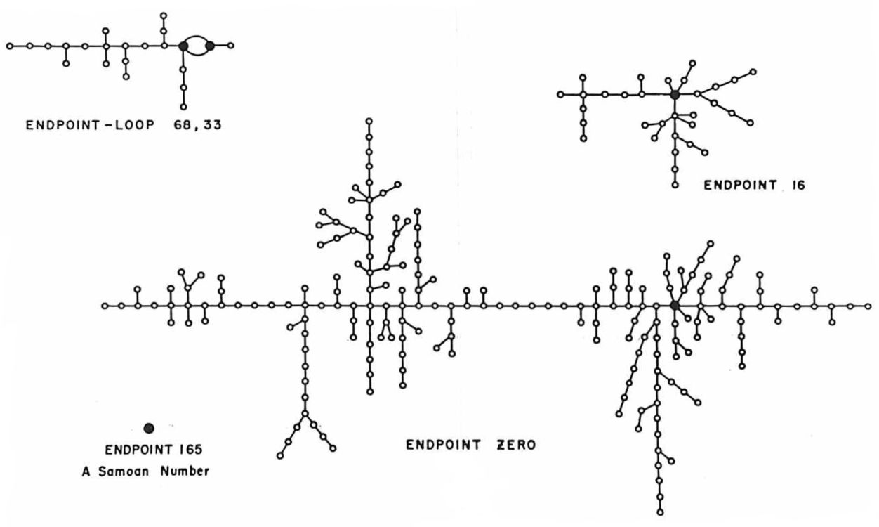 Metropolis 256 midsquare tree